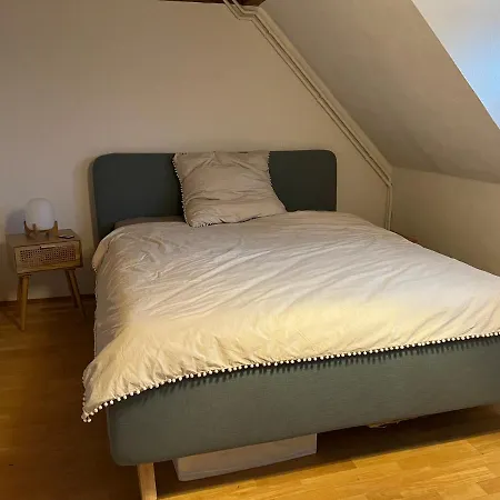Uber Den Dachern Von Appartement Radebeul